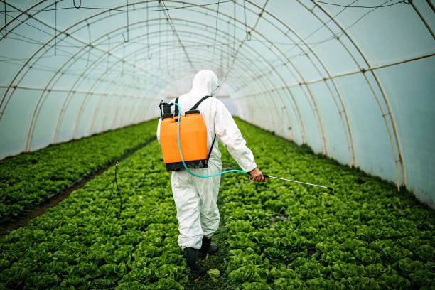 Best Best Pest Control Companies  in Honeoye Falls, NY