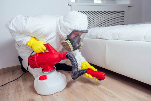 Reliable Honeoye Falls, NY Pest Control Solutions
