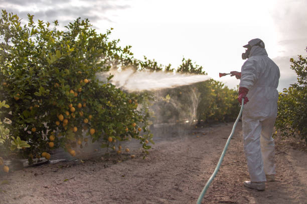 Trusted Honeoye Falls, NY Pest Control Experts