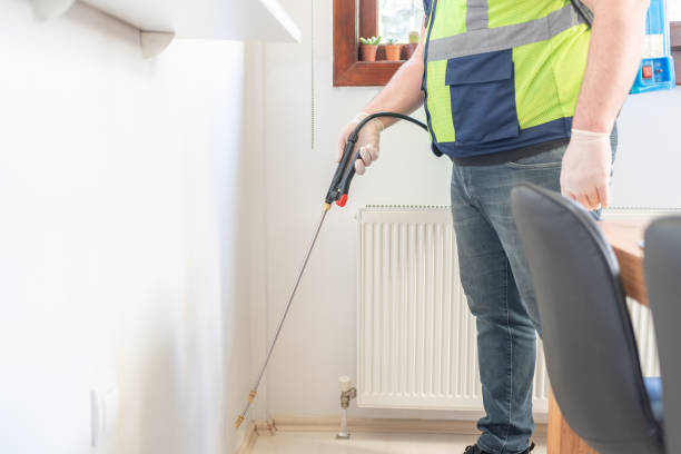 Best Pest Removal Services  in Honeoye Falls, NY