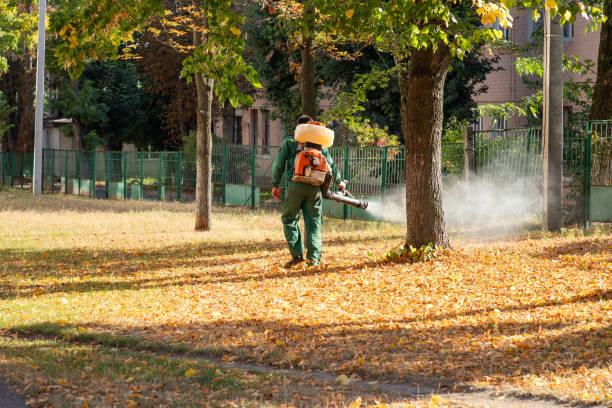 Best Mosquito Control Services  in Honeoye Falls, NY