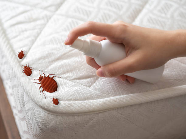 Best Best Pest Control Companies  in Honeoye Falls, NY